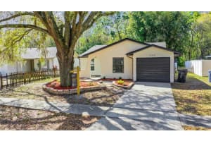 12336 WITHERIDGE DRIVE, TAMPA, FL 33624 Sold 05/10/24