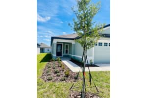 3837 CORSICAN PLACE, LAKE ALFRED, FL 33850 Sold 05/06/24