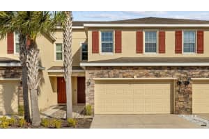13211 CANOPY CREEK DRIVE, TAMPA, FL 33625 Sold 03/22/24