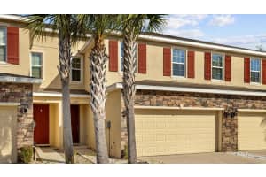 13211 CANOPY CREEK DRIVE, TAMPA, FL 33625 Sold 03/22/24