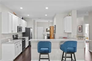 10262 DEVONSHIRE LAKE DRIVE, TAMPA, FL 33647 Sold 05/08/24