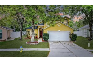 3231 CASTLE ROCK CIRCLE, LAND O LAKES, FL 34639 Sold 05/30/24