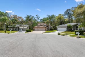 16001 ROYAL ABERDEEN PLACE, ODESSA, FL 33556 Sold 04/18/24