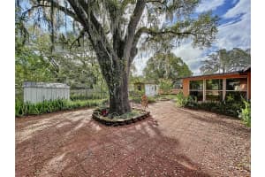 39624 MEADOWOOD LOOP, ZEPHYRHILLS, FL 33542 Sold 04/05/24