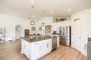 18760 HUNTERS MEADOW WALK, LAND O LAKES, FL 34638 Sold 05/07/24