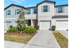 4521 GLOBE THISTLE DRIVE, TAMPA, FL 33619 Sold 05/22/24
