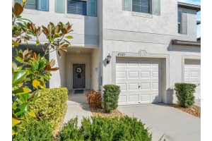4521 GLOBE THISTLE DRIVE, TAMPA, FL 33619 Sold 05/22/24