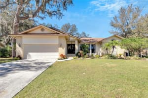 10121 SEDGEBROOK DRIVE, RIVERVIEW, FL 33569 Sold 04/09/24