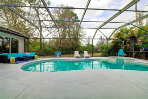 21207 SKY VISTA DRIVE, LAND O LAKES, FL 34637 Sold 06/13/24