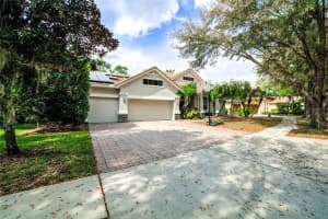 21207 SKY VISTA DRIVE, LAND O LAKES, FL 34637 Sold 06/13/24