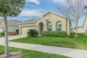 11944 GREENCHOP PLACE, RIVERVIEW, FL 33579 Sold 05/23/24
