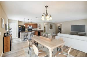 11133 GOLDENROD FERN DRIVE, RIVERVIEW, FL 33569 Sold 04/05/24