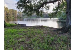 5648 RAWLS ROAD, TAMPA, FL 33625 Sold 05/22/25