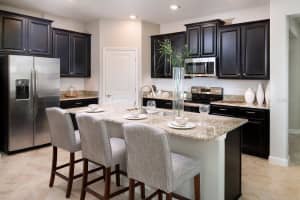 11909 LILAC PEARL LANE, PARRISH, FL 34219 Sold 11/25/24