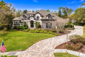 5501 BRANCH OAK PLACE, LITHIA, FL 33547 Sold 11/06/24