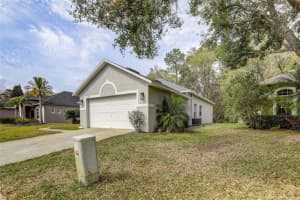 12537 LEATHERLEAF DRIVE, TAMPA, FL 33626 Sold 04/12/24