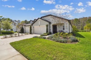 4131 BARLETTA COURT, WESLEY CHAPEL, FL 33543 Sold 06/14/24