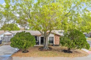 10111 TIMBER OAKS COURT, TAMPA, FL 33615 Sold 04/23/24