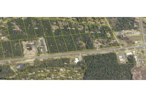 34365 CORTEZ BOULEVARD, DADE CITY, FL 33523 - MLS#MFRT3509406