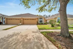 19356 HASKELL PLACE, LAND O LAKES, FL 34638 Sold 05/17/24