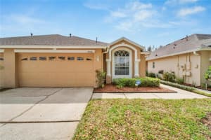 19356 HASKELL PLACE, LAND O LAKES, FL 34638 Sold 05/17/24