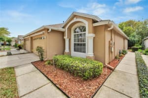 19356 HASKELL PLACE, LAND O LAKES, FL 34638 Sold 05/17/24