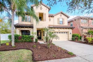 2616 CALVANO DRIVE, LAND O LAKES, FL 34639 Sold 05/01/24
