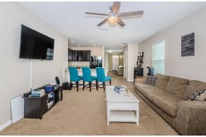 10853 TRAILING VINE DRIVE, TAMPA, FL 33610 Sold 06/28/24