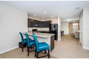 10853 TRAILING VINE DRIVE, TAMPA, FL 33610 Sold 06/28/24
