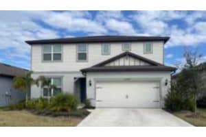 12918 Brookside Moss Dr, RIVERVIEW