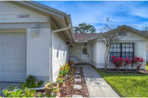 13609 FAWN RIDGE BOULEVARD, TAMPA, FL 33626 Sold 04/18/24