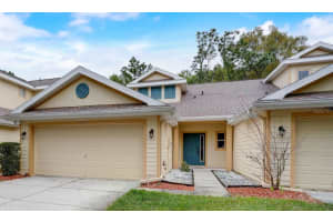 20223 VINTAGE OAKS PLACE, TAMPA, FL 33647 Sold 04/24/24