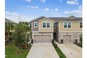 6027 GRAND SONATA AVENUE, LUTZ, FL 33558 Sold 04/22/24