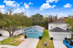 25850 TERRAWOOD LOOP, LAND O LAKES, FL 34639 Sold 04/26/24