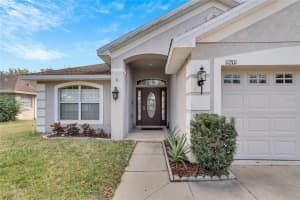 11201 IRISH MOSS AVENUE, RIVERVIEW, FL 33569 Sold 06/07/24