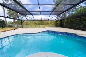 18808 CHOPIN DRIVE, LUTZ, FL 33558 Sold 06/25/24