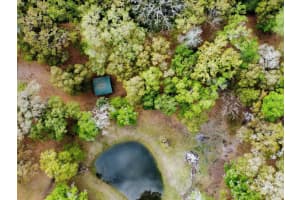 10820 31ST WAY, WEBSTER, FL 33597 - MLS#MFRT3509968