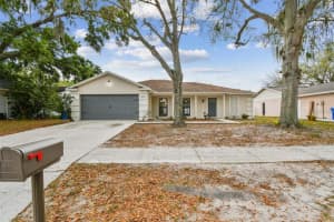 13303 HOLLOWBEND LANE, RIVERVIEW, FL 33569 Sold 04/10/24