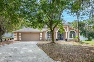 704 ROCKY MOUNTAIN COURT, VALRICO, FL 33594 Sold 05/03/24