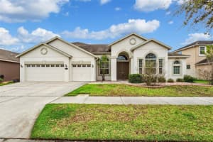 20260 RAVENS END DRIVE, TAMPA, FL 33647 Sold 04/15/24