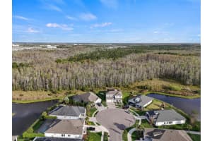 15469 AVILES PARKWAY, ODESSA, FL 33556 Sold 06/25/24