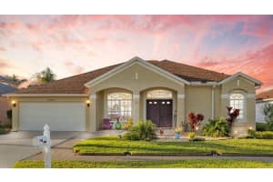25742 RISEN STAR DRIVE, WESLEY CHAPEL, FL 33544 Sold 06/24/24