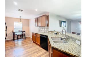 14306 HADDON MIST DRIVE, WIMAUMA, FL 33598 Sold 06/27/24