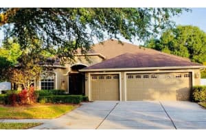 3209 HANGING VINE COURT, LAND O LAKES, FL 34639 Sold 05/10/24