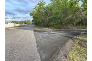 11957 MINNIEOLA DRIVE, NEW PORT RICHEY, FL 34654 Sold 02/07/25