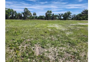 10620 S COUNTY ROAD 39 #LOT #4, LITHIA, FL 33547 Sold 05/02/25