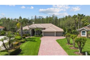 18806 WIMBLEDON CIRCLE, LUTZ, FL 33558 Sold 11/04/24