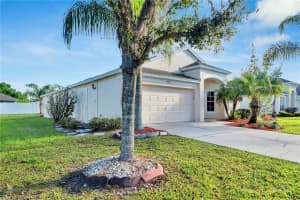 30343 PRINCESS BAY DRIVE, WESLEY CHAPEL, FL 33545 Sold 07/26/24