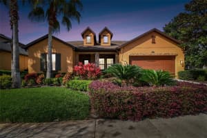 14321 AVON FARMS DRIVE, TAMPA, FL 33618 Sold 04/30/24