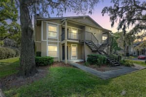 14312 HANGING MOSS CIRCLE, TAMPA, FL 33613 Sold 04/25/24